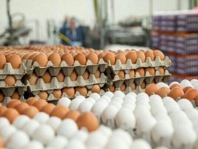  تخم‌مرغ دانه‌ای ۳۵۰۰ تومان