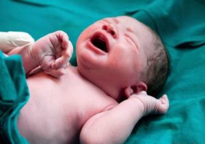 بیشتر نوزادان متولد شده در ۶ ماه نخست سال دختر بودند یا پسر؟