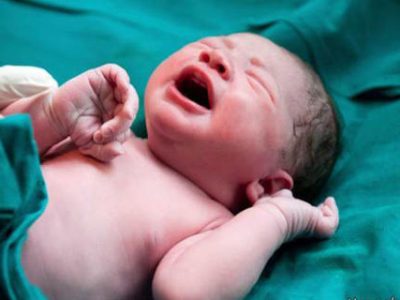 بیشتر نوزادان متولد شده در ۶ ماه نخست سال دختر بودند یا پسر؟