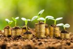 فعالیت ۱۷۱ صندوق حمایت بخش کشاورزی در کشور