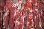 تولید گوشت قرمز در بهار ۱۴۰۳ افزایش چشمگیری پیدا می‌کند