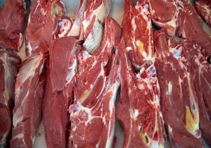 تولید گوشت قرمز در بهار ۱۴۰۳ افزایش چشمگیری پیدا می‌کند
