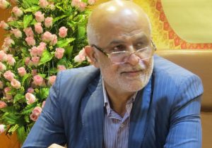 مجلس پیگیر اجرای واردات خودرو است