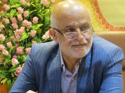 مجلس پیگیر اجرای واردات خودرو است