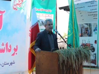اختصاص ارز ترجیهی برای واردات برنج ضرورت ندارد و باید حذف شود