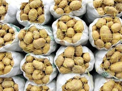 چرا سیب زمینی گران شد؟