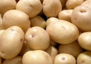 هر کیلو سیب زمینی ۸۰ هزار تومان!