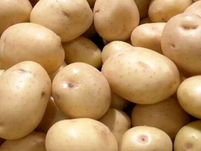 هر کیلو سیب زمینی ۸۰ هزار تومان!