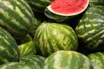 غلظت نیترات در هندوانه‌ ایرانی کمتر از ۱۰ میلی گرم است