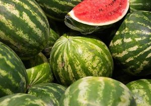 غلظت نیترات در هندوانه‌ ایرانی کمتر از ۱۰ میلی گرم است