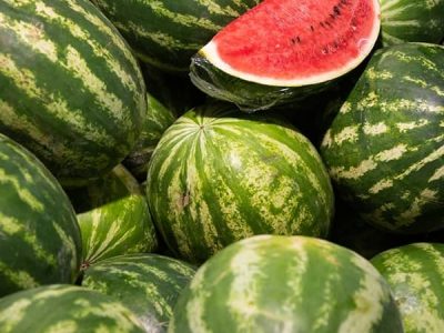 غلظت نیترات در هندوانه ایرانی کمتر از ۱۰ میلی گرم است