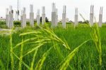 شناسایی ۳۶ هکتار تغییر کاربری غیرمجاز زمینهای کشاورزی و باغی در گیلان