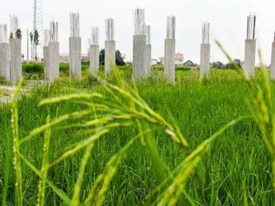 شناسایی ۳۶ هکتار تغییر کاربری غیرمجاز زمین‌های کشاورزی و باغی در گیلان