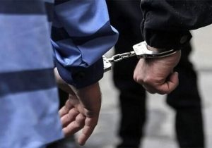 استرداد جاعل و کلاهبردار ۱۱ هزار میلیاردی به کشور