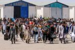 ۲ میلیون اتباع غیرمجاز همچنان در کشور حضور دارند