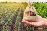 دولت، تسهیلات کم‌بهره برای اجرای طرح‌های اقتصادی در روستاها پرداخت می‌کند
