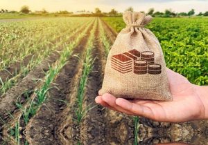 دولت، تسهیلات کم‌بهره برای اجرای طرح‌های اقتصادی در روستاها پرداخت می‌کند