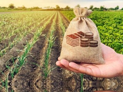 دولت، تسهیلات کم‌بهره برای اجرای طرح‌های اقتصادی در روستاها پرداخت می‌کند