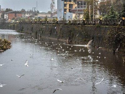 بیش از ۶ کیلومتر از رودخانه زرجوب رشت پاکسازی می شود