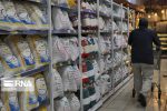 آغاز توزیع گسترده برنج خارجی در بازار؛ قیمت برنج هندی و پاکستانی مشخص شد