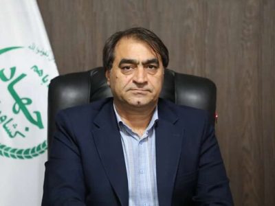 مرغداران نگران تأمین نهاده نباشند