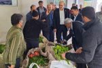 تأمین ۲۲ درصد چای کشور در لاهیجان